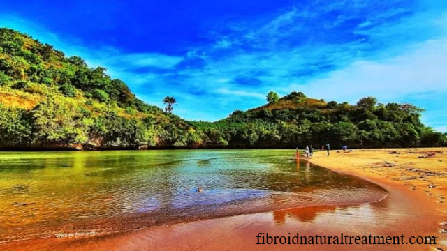 Pantai Bajul Mati Pesona Alam yang Menyegarkan Pikiran